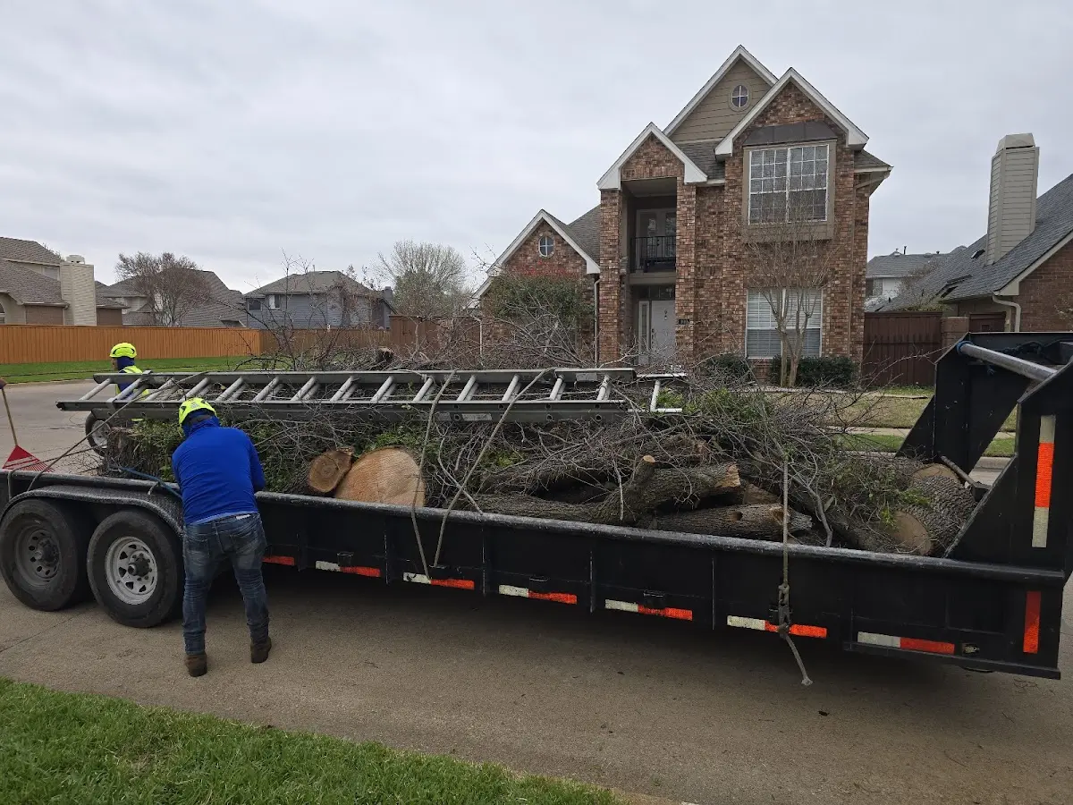Expert Tree Removal with proper safety equipment in West Boothbay Harbor